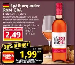 Norma Spätburgunder Rosé QbA Angebot