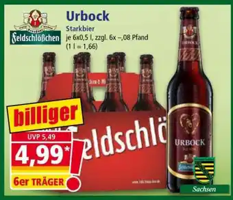 Norma Urbock Angebot