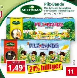 Norma Pilz- Bande Angebot