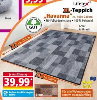 Norma XL-Teppich „Havanna“ Angebot