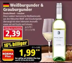 Norma Weißburgunder & Grauburgunder Angebot