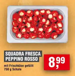 Handelshof SQUADRA FRESCA PEPPINO ROSSO Angebot