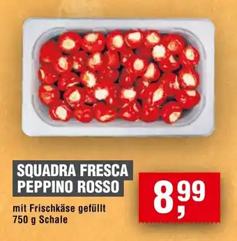 Handelshof SQUADRA FRESCA PEPPINO ROSSO Angebot