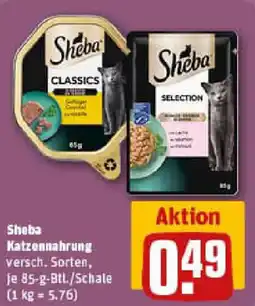 REWE Sheba Katzennahrung Angebot