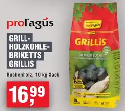 Handelshof profagús GRILL- HOLZKOHLE- BRIKETTS Angebot