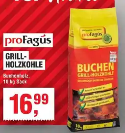 Handelshof profagús GRILL- HOLZKOHLE Angebot