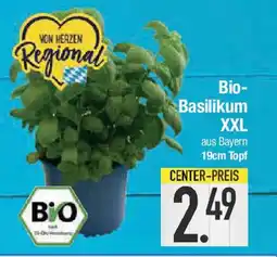 E-Center Bio- Basilikum XXL Angebot