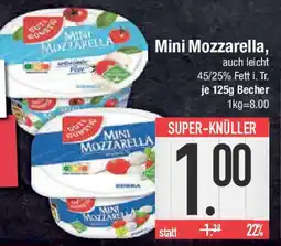 E-Center GUT&GUNSTIG Mini Mozzarella Angebot
