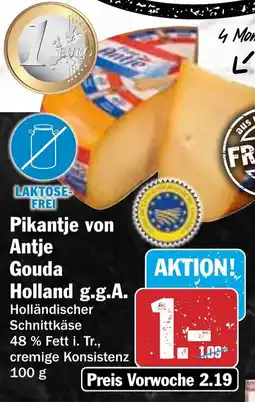HIT Pikantje von Antje Gouda Holland g.g.A. Angebot
