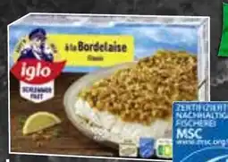 HIT Iglo Schlemmer- Filet oder Filegro Angebot