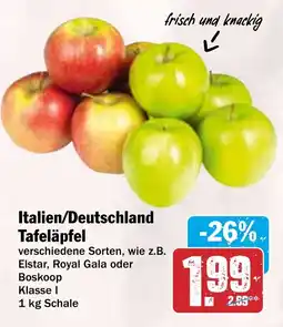 HIT Italien/Deutschland -Tafeläpfel Angebot