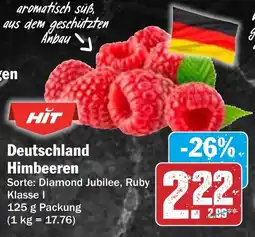 HIT Deutschland Himbeeren Angebot