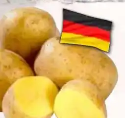 HIT Deutschland Speisekartoffeln Angebot