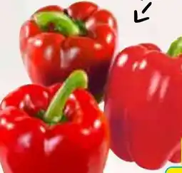 HIT Spanien Paprika rot Angebot