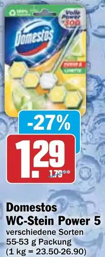 HIT Domestos WC-Stein Power 5 Angebot