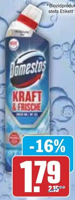 HIT Domestos WC Aktiv Kraft Gel Angebot