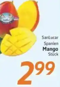 inkoop SanLucar Spanien Mango Angebot