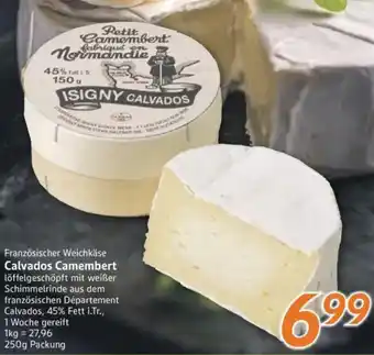 inkoop Französischer Weichkäse Calvados Camembert Angebot