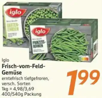 inkoop Iglo Frisch-vom-Feld Gemüse Angebot