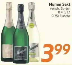 inkoop Mumm Sekt Angebot