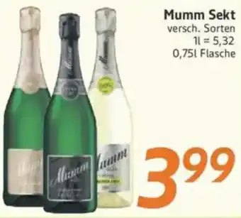 inkoop Mumm Sekt Angebot
