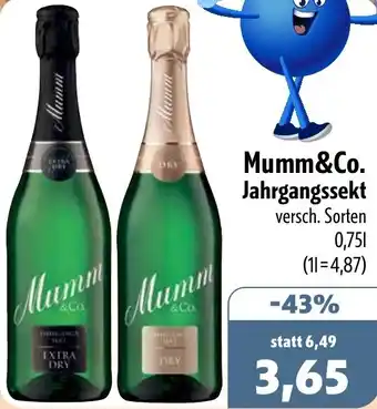 Aktiv Irma Mumm&Co. Jahrgangssekt Angebot