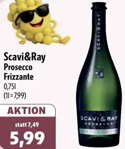 Aktiv Irma Scavi&Ray Prosecco Frizzante Angebot