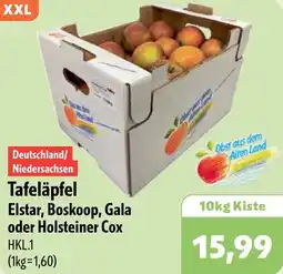 Aktiv Irma Tafeläpfel Elstar, Boskoop, Gala oder Holsteiner Cox Angebot