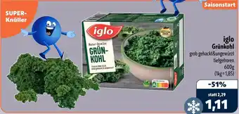 Aktiv Irma iglo Grünkohl Angebot
