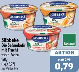 Aktiv Irma Söbbeke Bio Sahnekefir mit Frucht Angebot