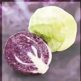 Netto Marken-Discount Weißkohl Angebot
