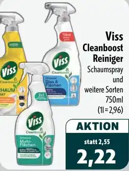 Aktiv Irma Viss Cleanboost Reiniger Angebot