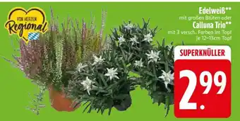 Edeka Edelweiß oder Calluna Trio Angebot