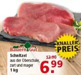 Multi Markt Bauern Gut Schnitzel Angebot