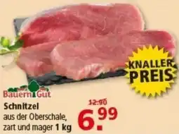 Multi Markt Bauern Gut Schnitzel Angebot
