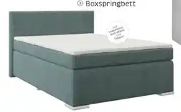 XXXLutz Boxxx Boxspringbett Angebot