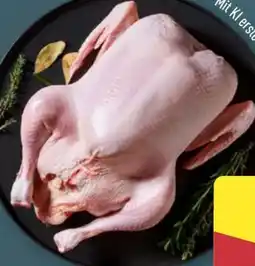 Aldi Nord Meine Metzgerei Junge Ente Angebot