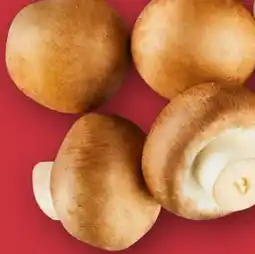 Aldi Nord Kulturchampignons Angebot