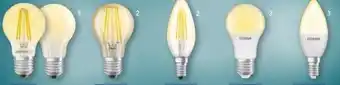 Aldi Nord LED-Filament Leuchtmittel Angebot