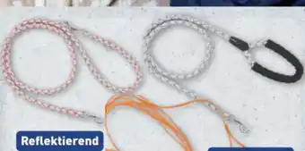 Aldi Nord Romeo Hundeleine Angebot