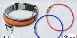 Aldi Nord Romeo LED-Hundehalsband Angebot