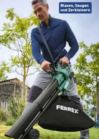 Aldi Nord Ferrex Akku-Laubsauger Angebot