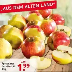 Multi Markt Äpfel: Elstar Angebot