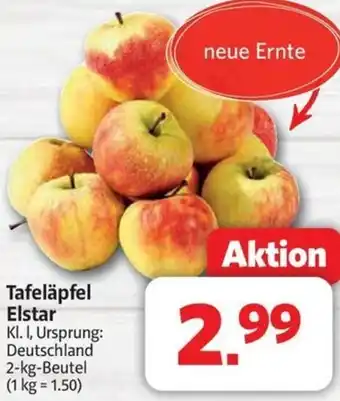 Markant Tafeläpfel Elstar Angebot