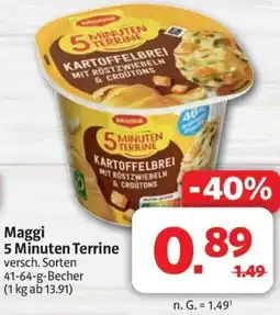 Markant Maggi 5 Minuten Terrine Angebot