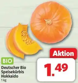 Markant Deutscher Bio Speisekürbis Hokkaido Angebot