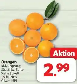 Markant Orangen Angebot