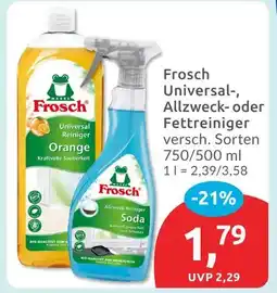 Budni Frosch universal reiniger orange Angebot