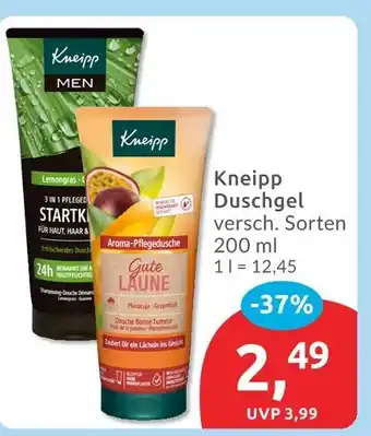 Budni Kneipp duschgel stark Angebot