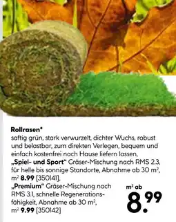 Hellweg Rollrasen „spiel- und sport“ Angebot